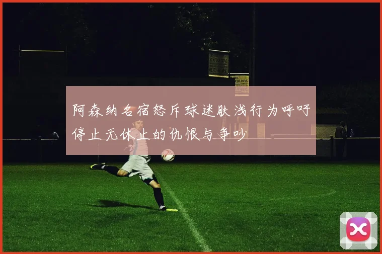 阿森纳名宿怒斥球迷肤浅行为呼吁停止无休止的仇恨与争吵
